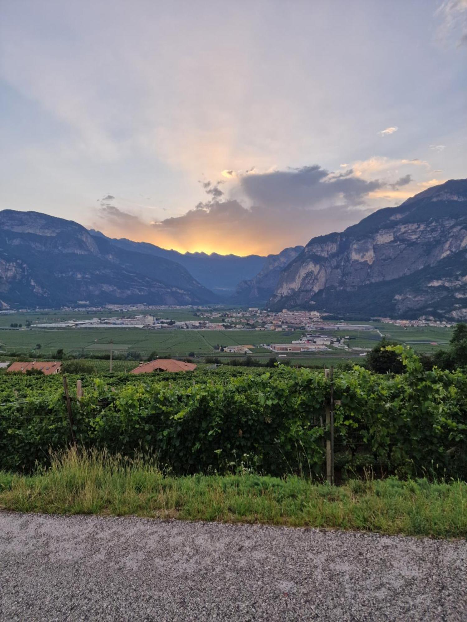 Hotel Garni La Vigna - Adult Friendly San Michele allʼAdige エクステリア 写真